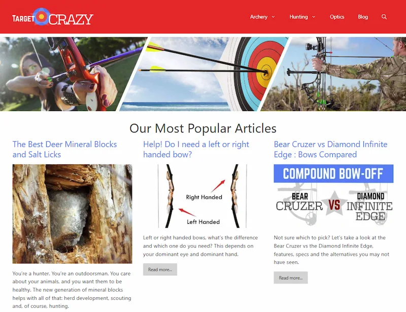Target Crazy website